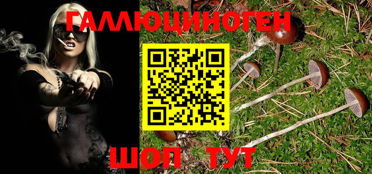 Галлюциногенные грибы MAGIC MUSHROOMS  Вход с VPN  Малоярославец 
